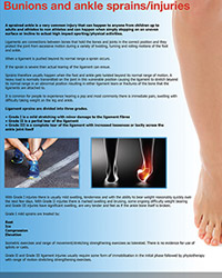 Sports Injuries and Sports Orthopaedics