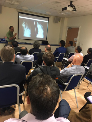 MIS Course on Charcot Foot Fixation